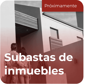 Subastas de inmuebles webiid