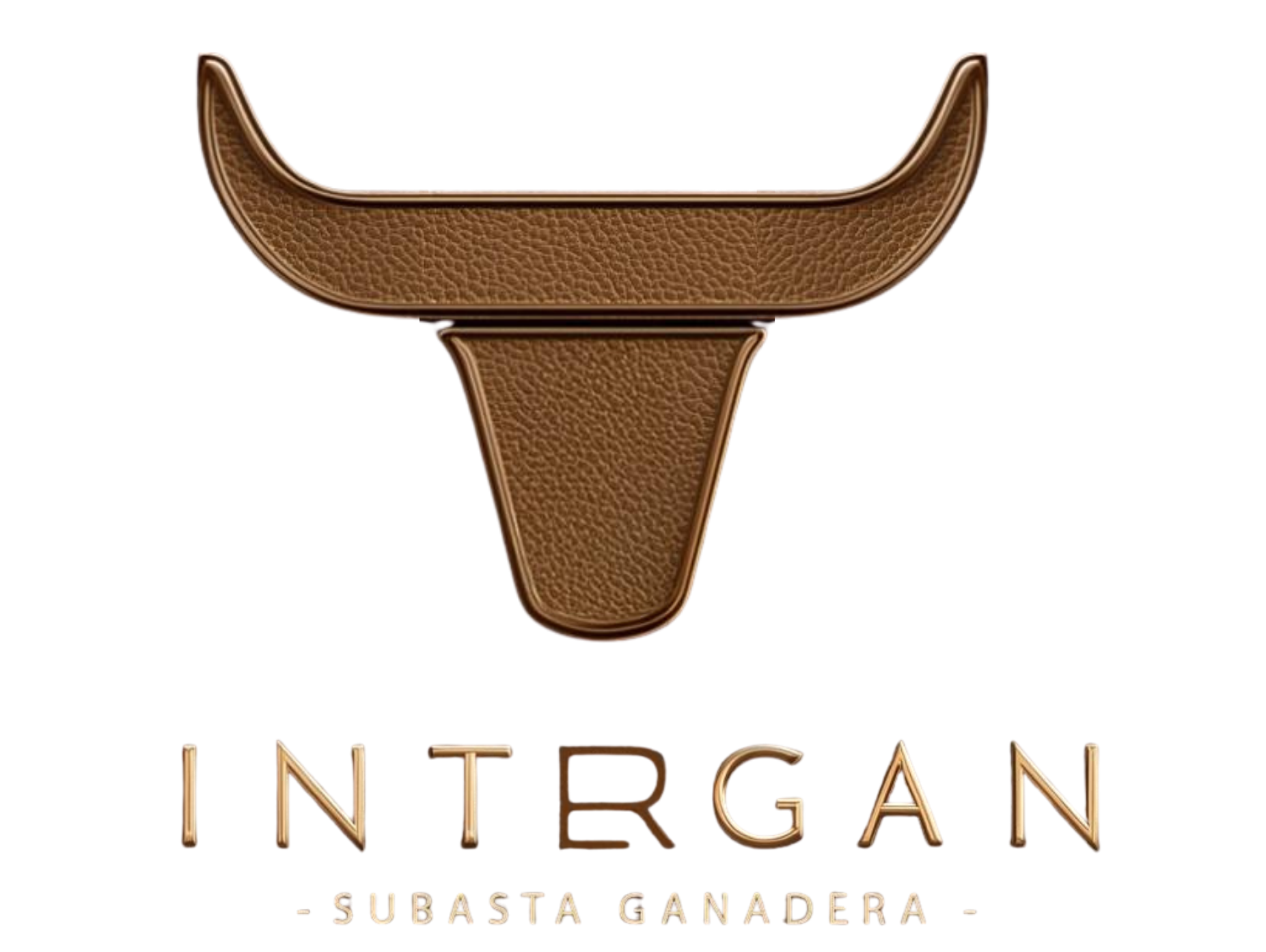 Logo Intergan