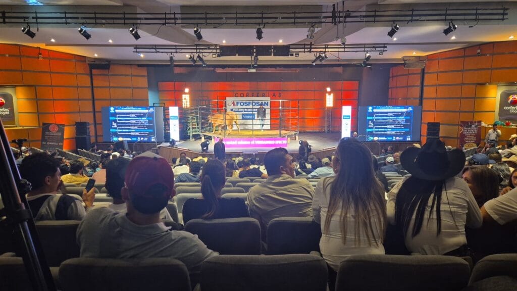 Auditorio lleno en uno de los remates de Agroexpo 2025, con las pantallas de la plataforma a los costados